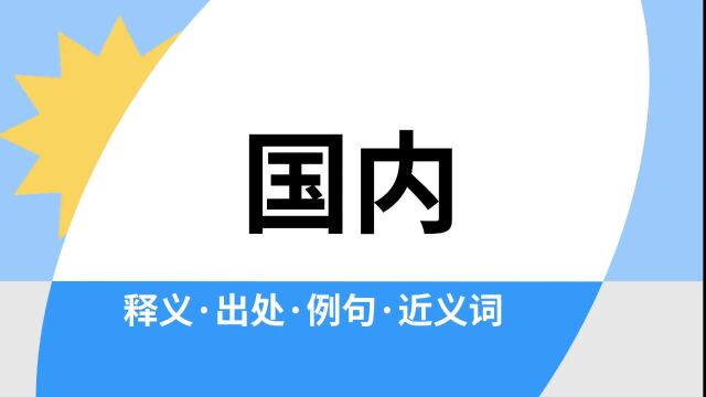 “国内”是什么意思?