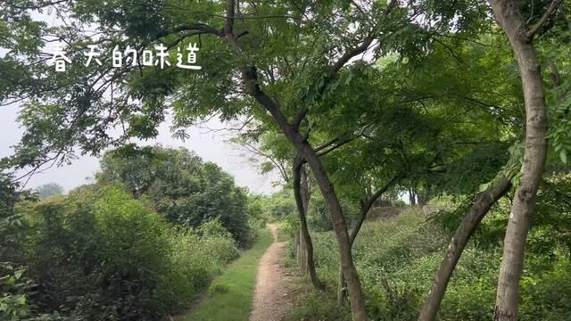 #感受大自然的气息和美景 #静心聆听享受一下片刻的宁静 #喜欢爬山感受大自然的气息