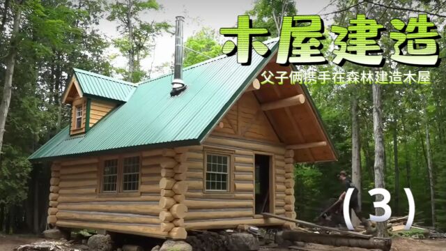 父子俩为实现男人的自由,携手在森林建造木屋,最后的修缮工作