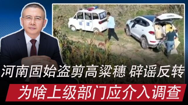 河南固始执法人员盗剪高粱穗:靠镇政府调查行吗,为啥上级应介入