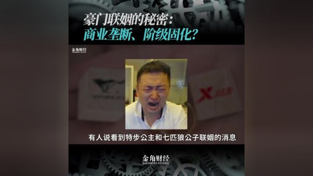 拆解豪门联姻大局4