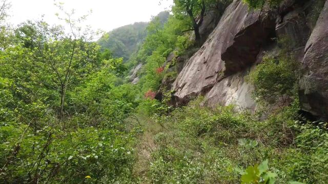 在最舒适的季节,行走山水间,从土地庙沟穿越洛阳白云山森林公园