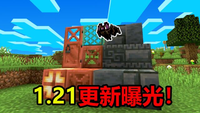 1.21更新内容再曝光!更多铜方块!蝙蝠新皮肤!