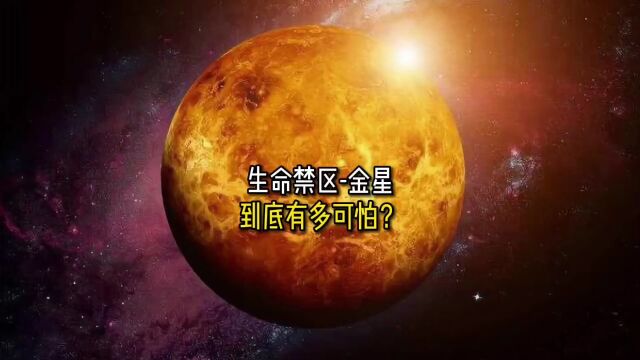 在金星上 太阳会从西边升起?