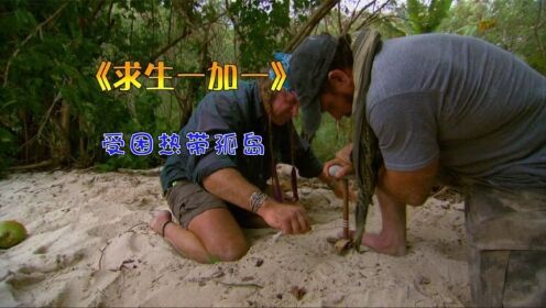 求生一加一：受困热带孤岛，乔和科迪展示孤岛求生。