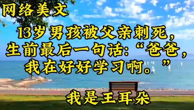 网络美文:《13岁男孩被父亲刺死,生前最后一句话:“爸爸,我在好好学习啊.”》