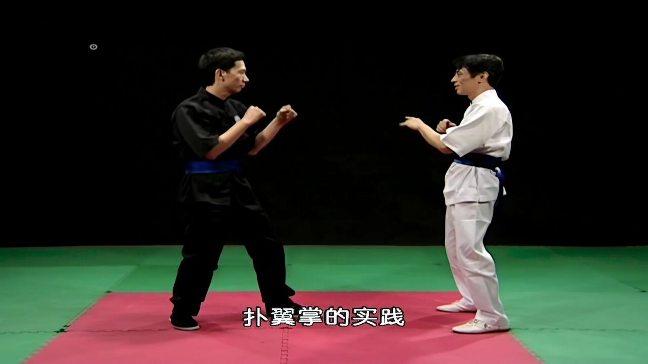 咏春拳十二散式(试听课)_高清1080P在线观看平台_腾讯视频
