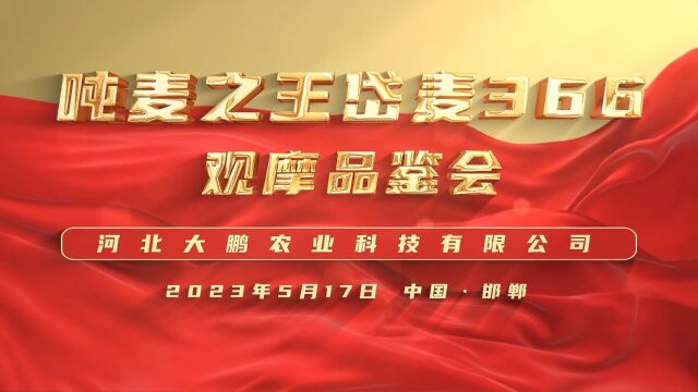 吨麦之王岱麦366观摩品鉴会圆满成功!