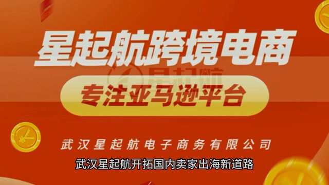 武汉星起航开拓国内卖家出海新道路,携手客户共迎出海黄金时代