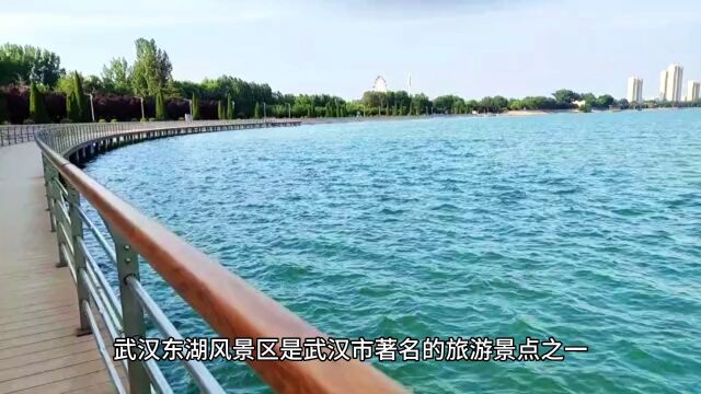 湖光山色,东湖风景区的美丽之旅