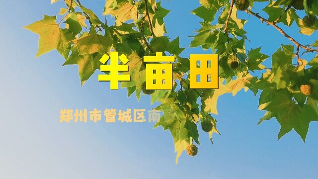 郑州市管城回族区南曹小学“半亩田”红领巾社团