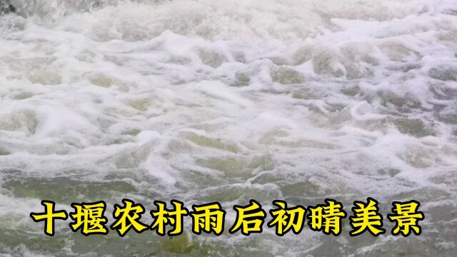 十堰农村夏日天气真是卒不及防说下雨就下雨了瞬间河里面开始涨水