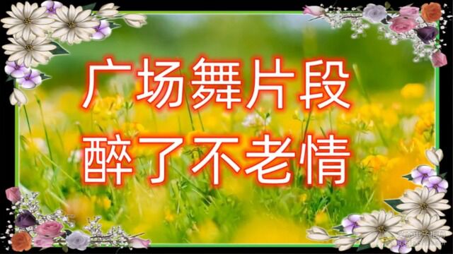 广场舞《醉了不老情》选段.表演:UU青姐