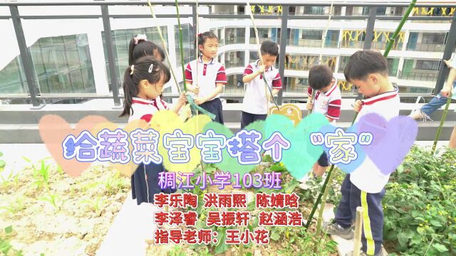 《给蔬菜宝宝搭个“家”》