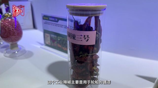 “湘”当“韵”味③ | 湖南种业为什么强?8位院士组团“出道”!