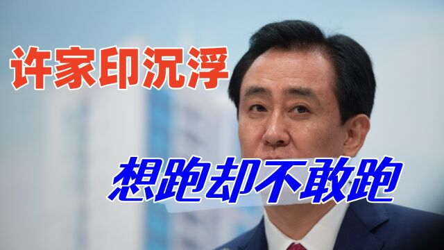 许家印人生落幕,他一直都想跑到国外,但最终却还是被活捉了