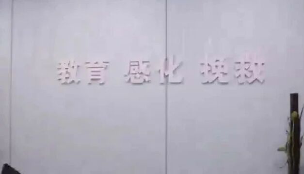 【非凡十年 ⷠ我们的阿坝检察】以法护苗 以爱育爱——@爱ⷤ𚑦œ𕀀