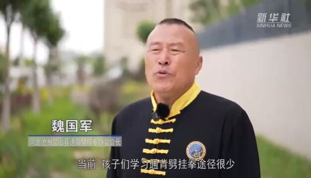 央媒看沧州 | 传统武术拳种在“武术之乡”薪火相传