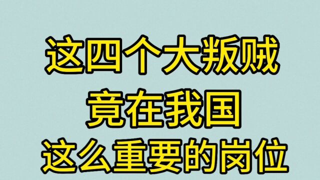 这四个大叛贼竟在我国这么重要的岗位,让祖国蒙受巨大损失