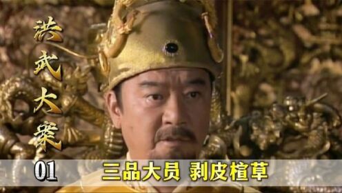 《洪武大案》01：一桩造反事件，引出三品贪官，朱元璋下令：剥皮楦草高清1080p在线观看平台腾讯视频 