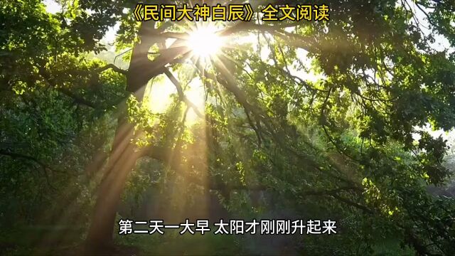 《民间大神白辰》◇民间大神小说全文阅读【最全章节】