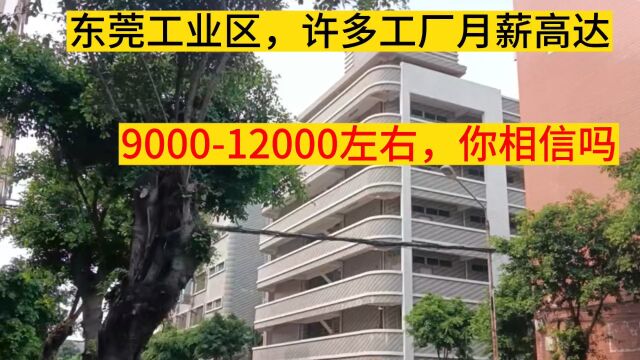 实拍东莞工业区,许多工厂月薪髙达900012000左右