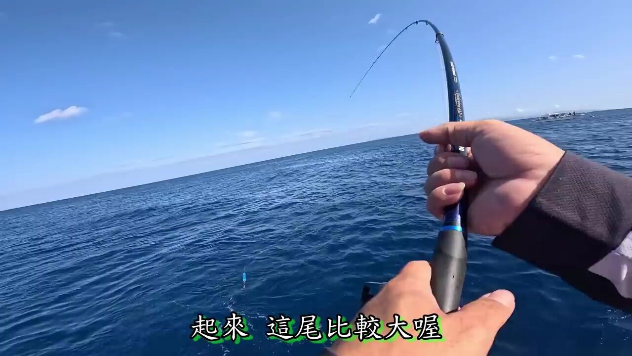 海钓,开船出去钓鱼,全是巨物,这鱼获有点吓人_高清1080P在线观看平台_腾讯视频