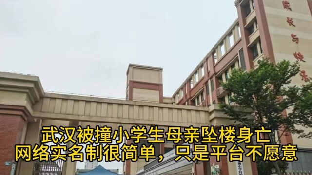 武汉被撞小学生母亲坠楼身亡:网络实名制很简单,只是平台不愿意