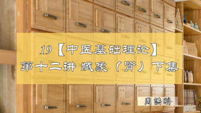 19【中医基础理论】第十二讲——藏象(肾)(下集)