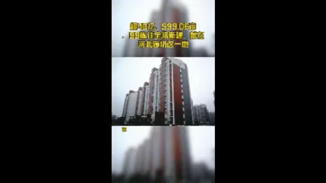 超40亿,599.06亩,99栋住宅将新建,就在河北廊坊这一地