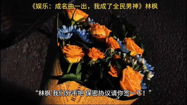 《娱乐:成名曲一出,我成了全民男神》◇林枫小说整篇TXT阅读