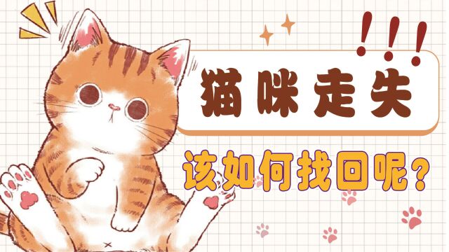 猫咪经常喜欢出去玩?那如果猫丢了有什么办法可以找回吗?