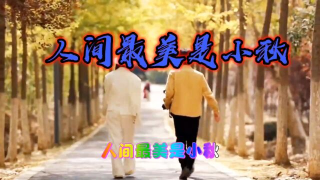 《人间最美是小秋》优美的旋律!深情而又动听,完美演唱好听