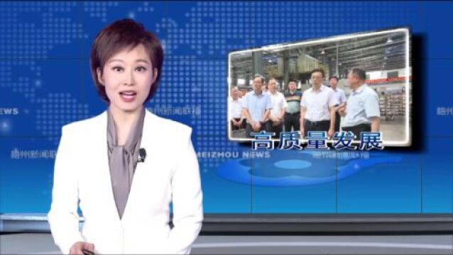 马正勇到平远县督导调研实体经济高质量发展和“四上”企业培育工作 树牢产出思维发展思维 全力做大企业做强产业