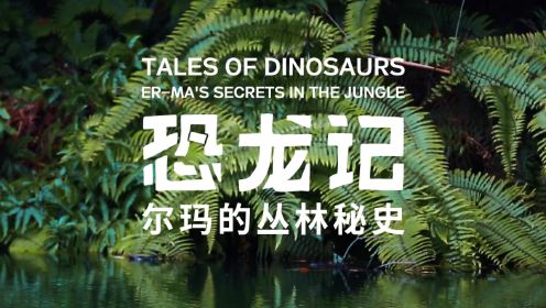 第01集 恐龙记：尔玛的丛林秘史