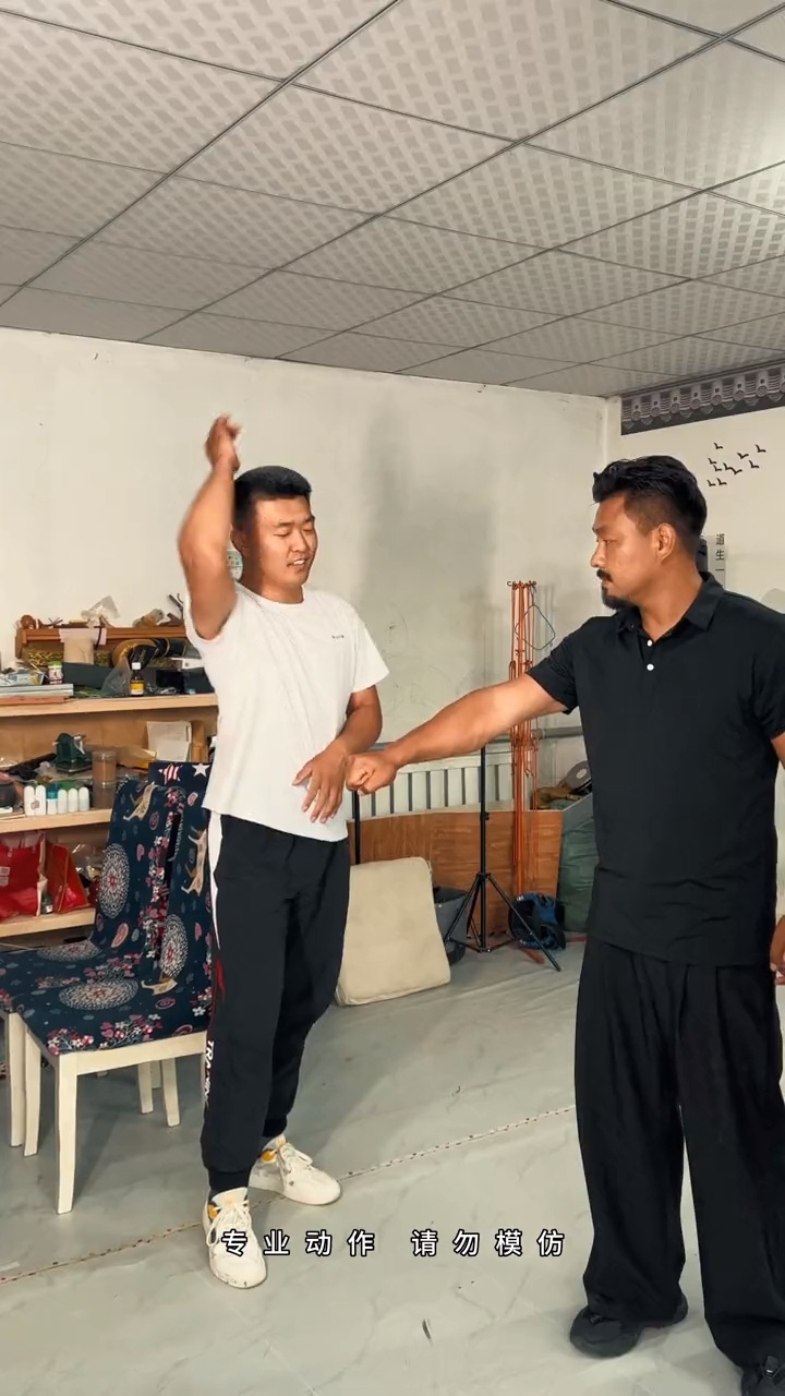 中华英雄王洪祥vs通背拳大师鸽武缘