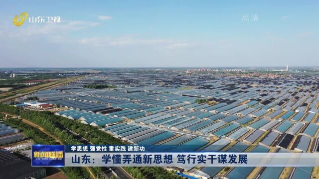 学思想 强党性 重实践 建新功 | 山东:学懂弄通新思想 笃行实干谋发展