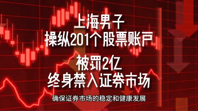 上海男子操纵201个股票账户,被罚2亿终身禁入证券市场