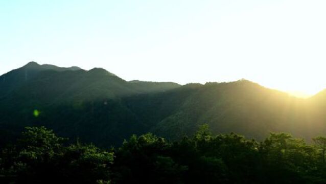 王健率团赴四川巴州考察东西部协作工作 以项目高质量建设推动东西部协作结出更多硕果