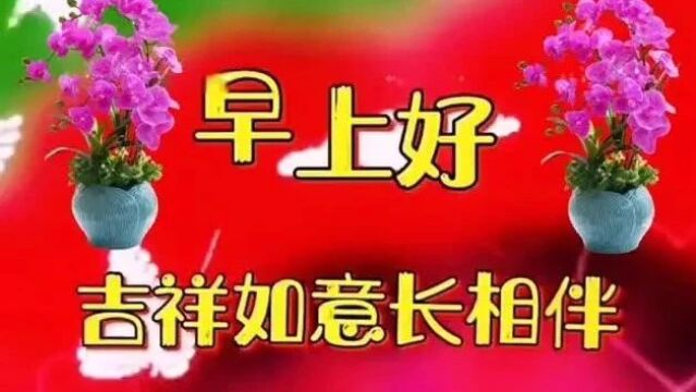 让情意一生永留,愿吉祥如意长相伴~