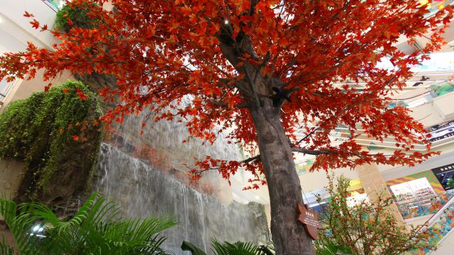 西安大商场里的秋景:红枫石榴飞瀑,都市大商场里的秋色醉人