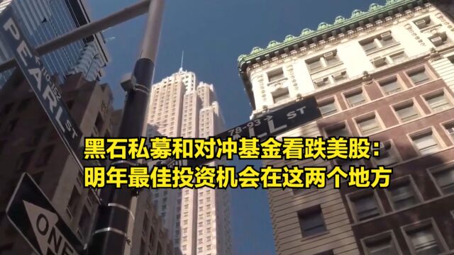 黑石私募和对冲基金看跌美国股市:明年最佳投资机会在这两个地方