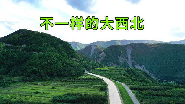 实拍六盘山森林公园,避暑的好地方