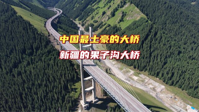 中国最土豪的大桥,新疆果子沟大桥耗资23.9亿,天堑变通途