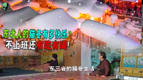 东三省猫冬生活，半年不上班没人说，这种过冬方式能全国流行吗？