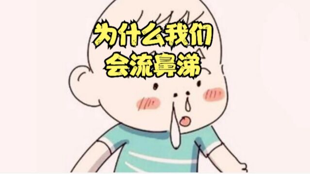 为什么我们的鼻子会流鼻涕