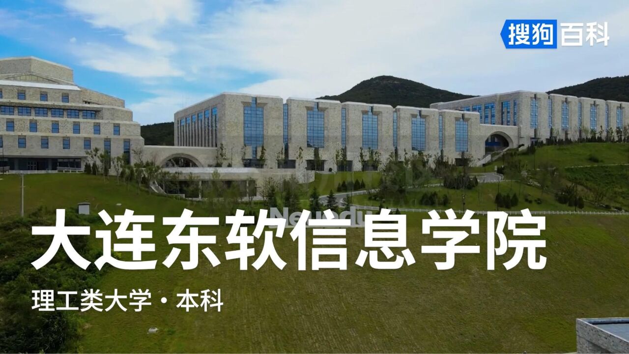 大连东软信息学院理工类民办院校搜狗百科 