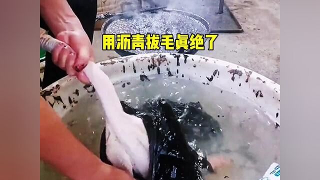 用沥青拔毛真绝了 #搞笑配音 #搞笑视频