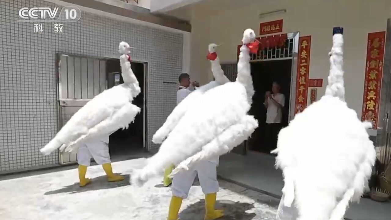鹤舞传递着三灶镇独特的乡土文化_高清