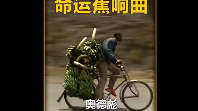 命运交响曲